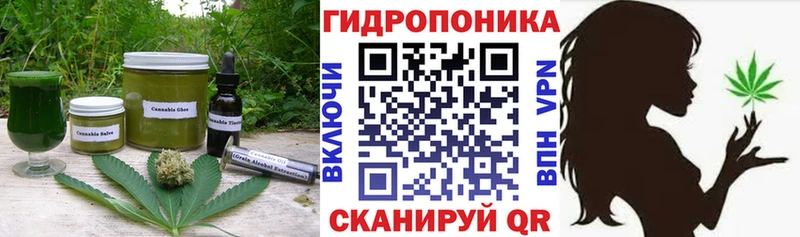продажа наркотиков  мега зеркало  Canna-Cookies марихуана  Верхотурье 