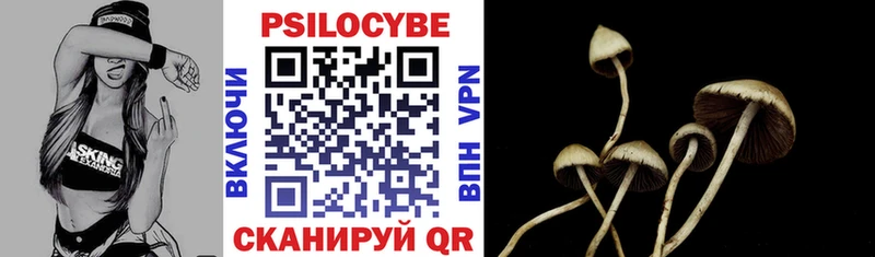 Псилоцибиновые грибы Magic Shrooms  наркота  Верхотурье 