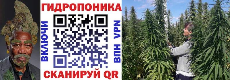 hydra ТОР  купить   Верхотурье  Конопля Amnesia 