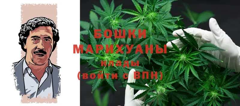 Шишки марихуана White Widow  Верхотурье 